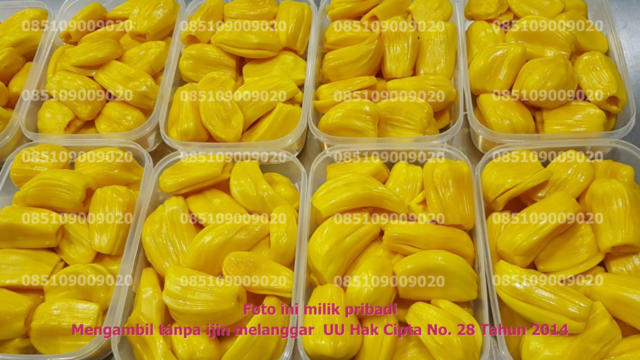 Proses Produksi Nangka Premium