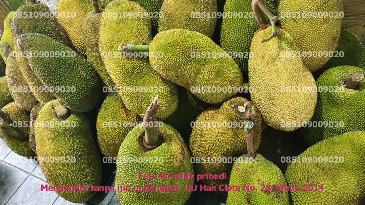 Penerimaan Bahan Baku 2