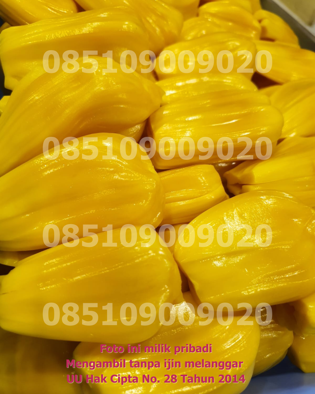 Nangka Dikupas 1