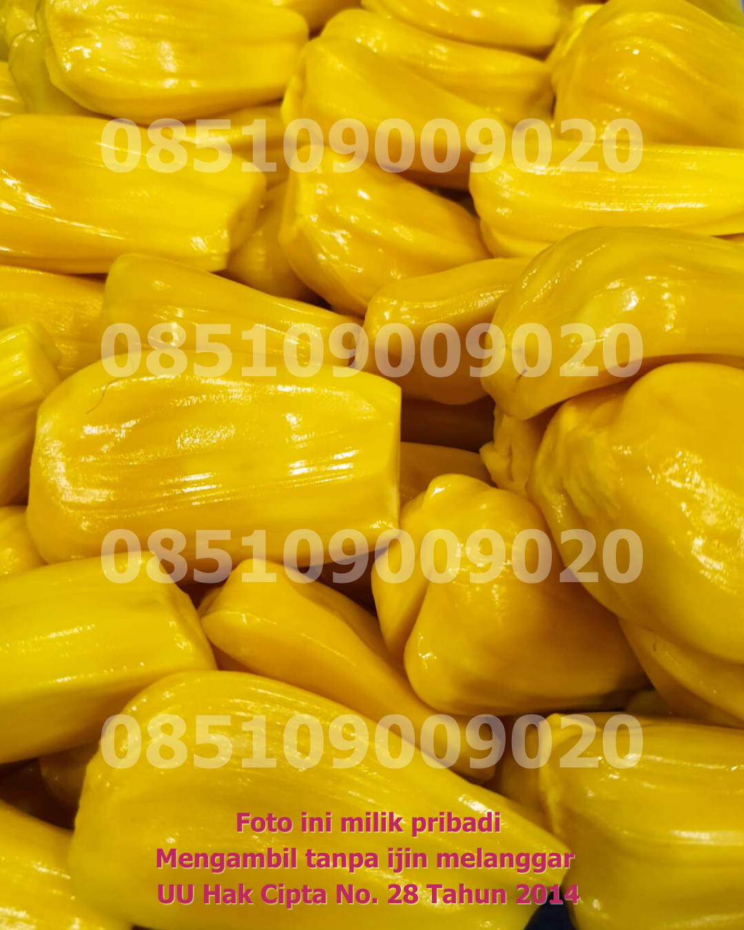 Nangka Dikupas 9