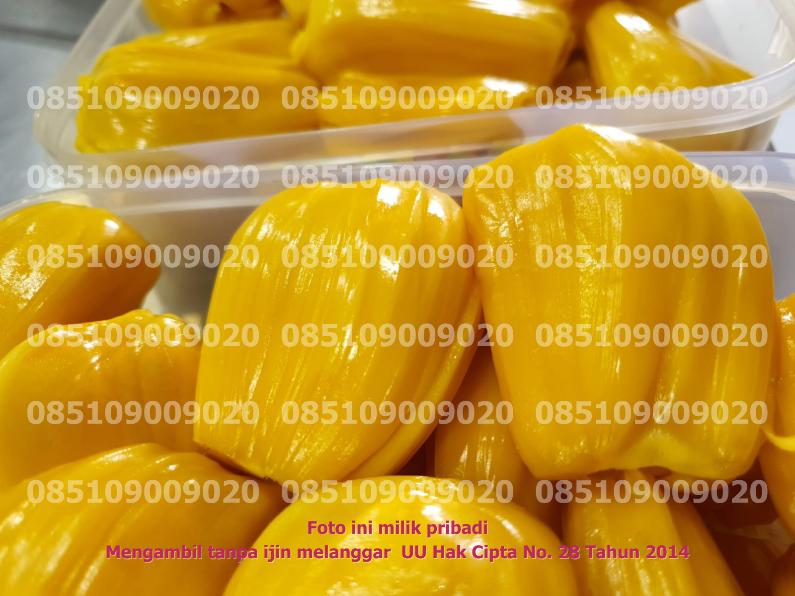 Nangka Kupas dalam Pack