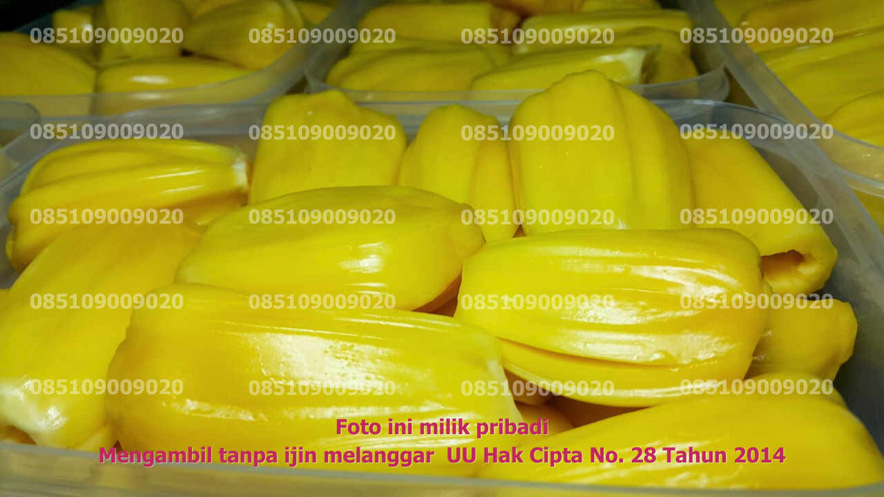 Kemasan Mika Banyak