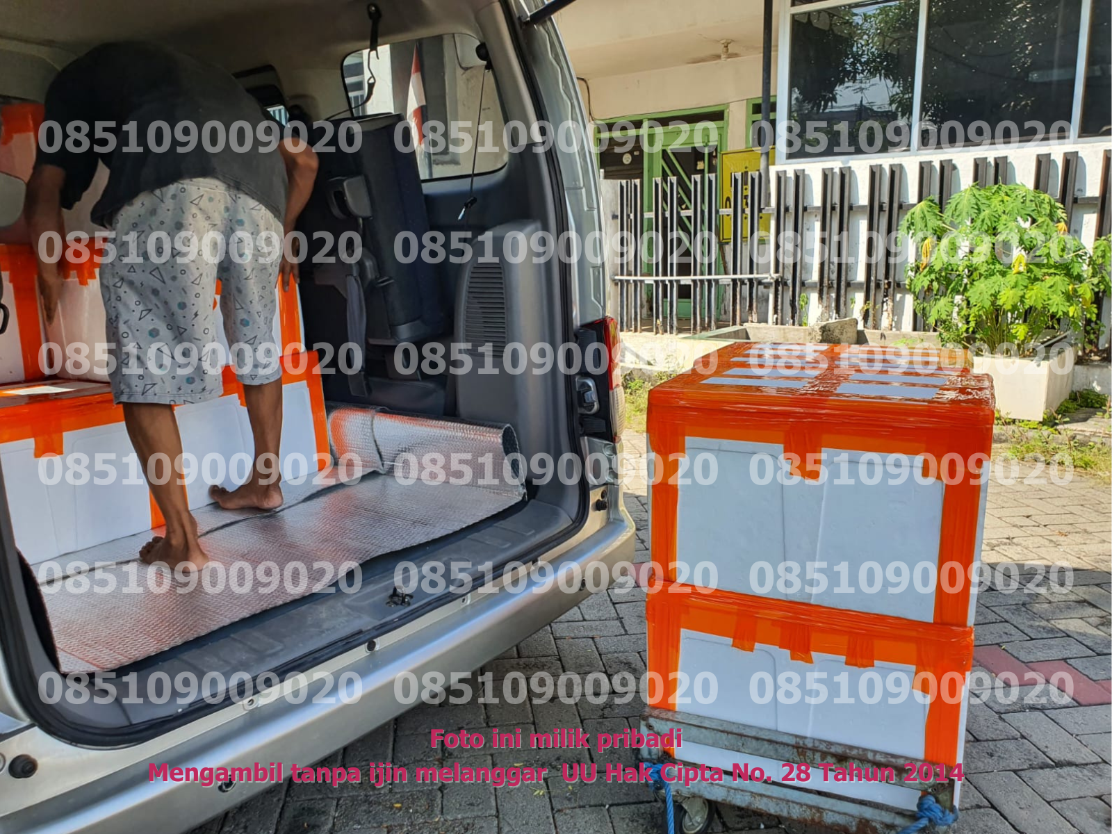 Pengangkutan Mobil 2