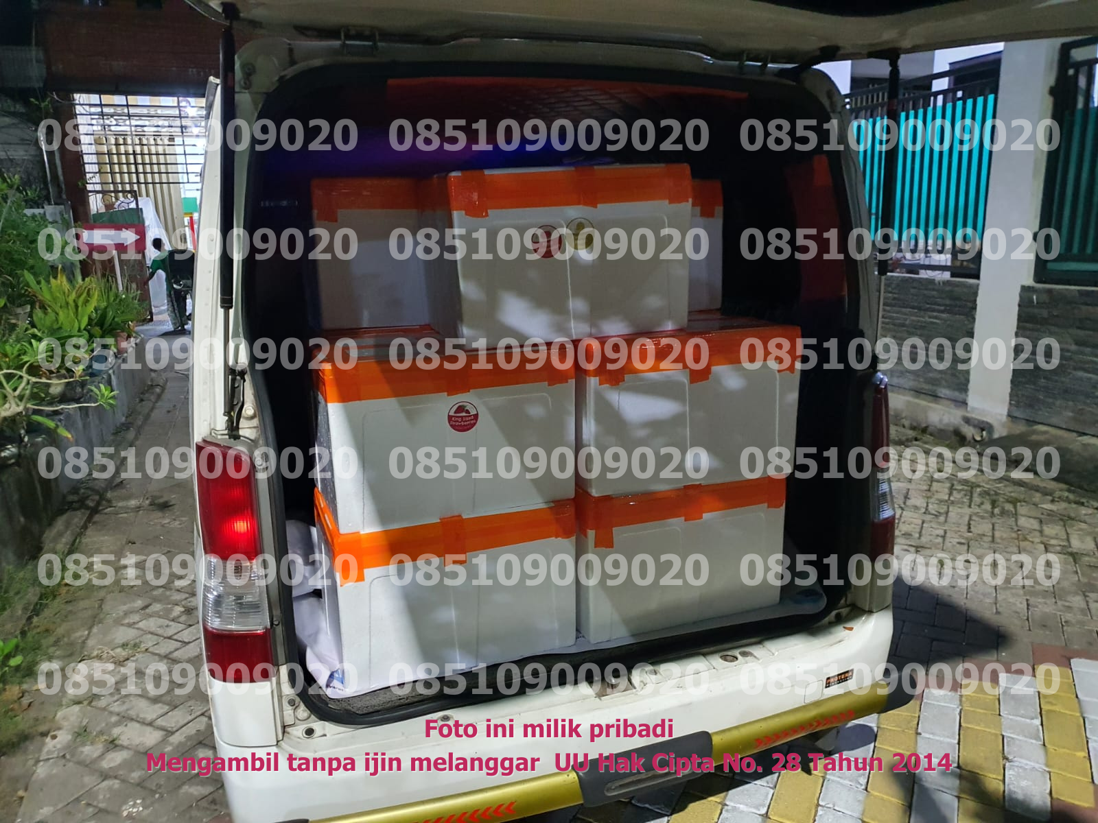 Pengangkutan Mobil 3