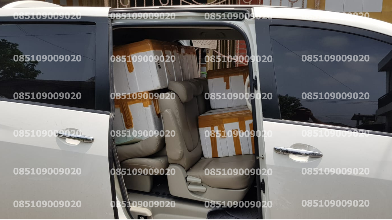 Pengangkutan Mobil 5