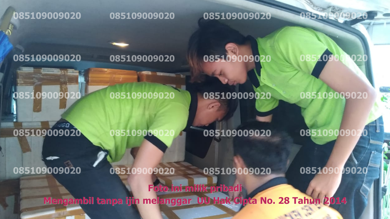 Pengangkutan Mobil 6