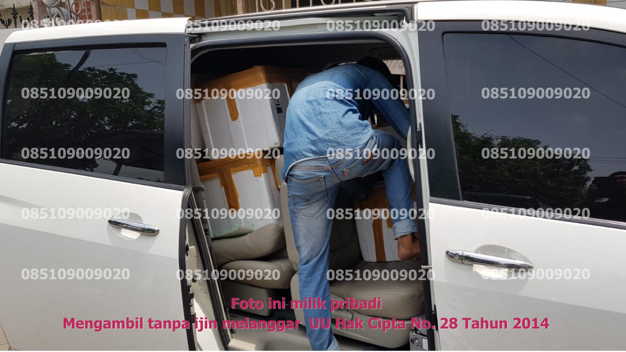 Pengangkutan Mobil 7