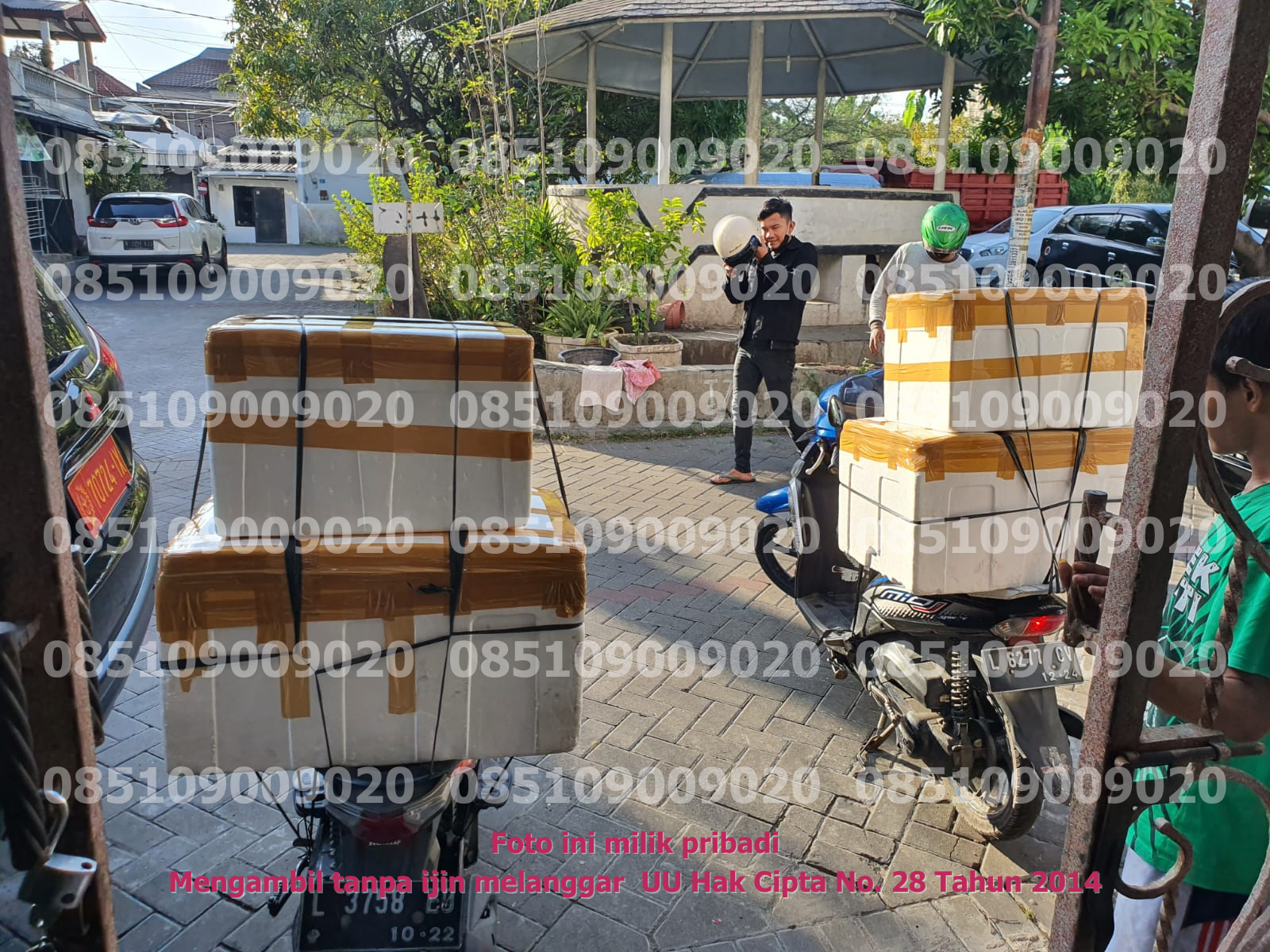 Pengangkutan Motor 5