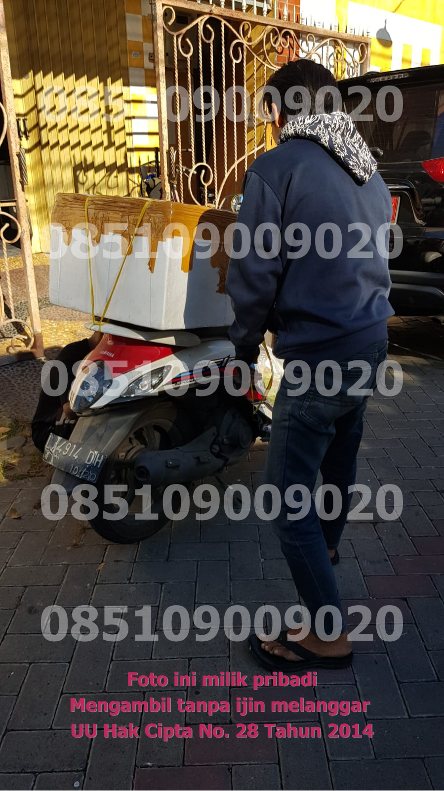 Pengangkutan Motor 8