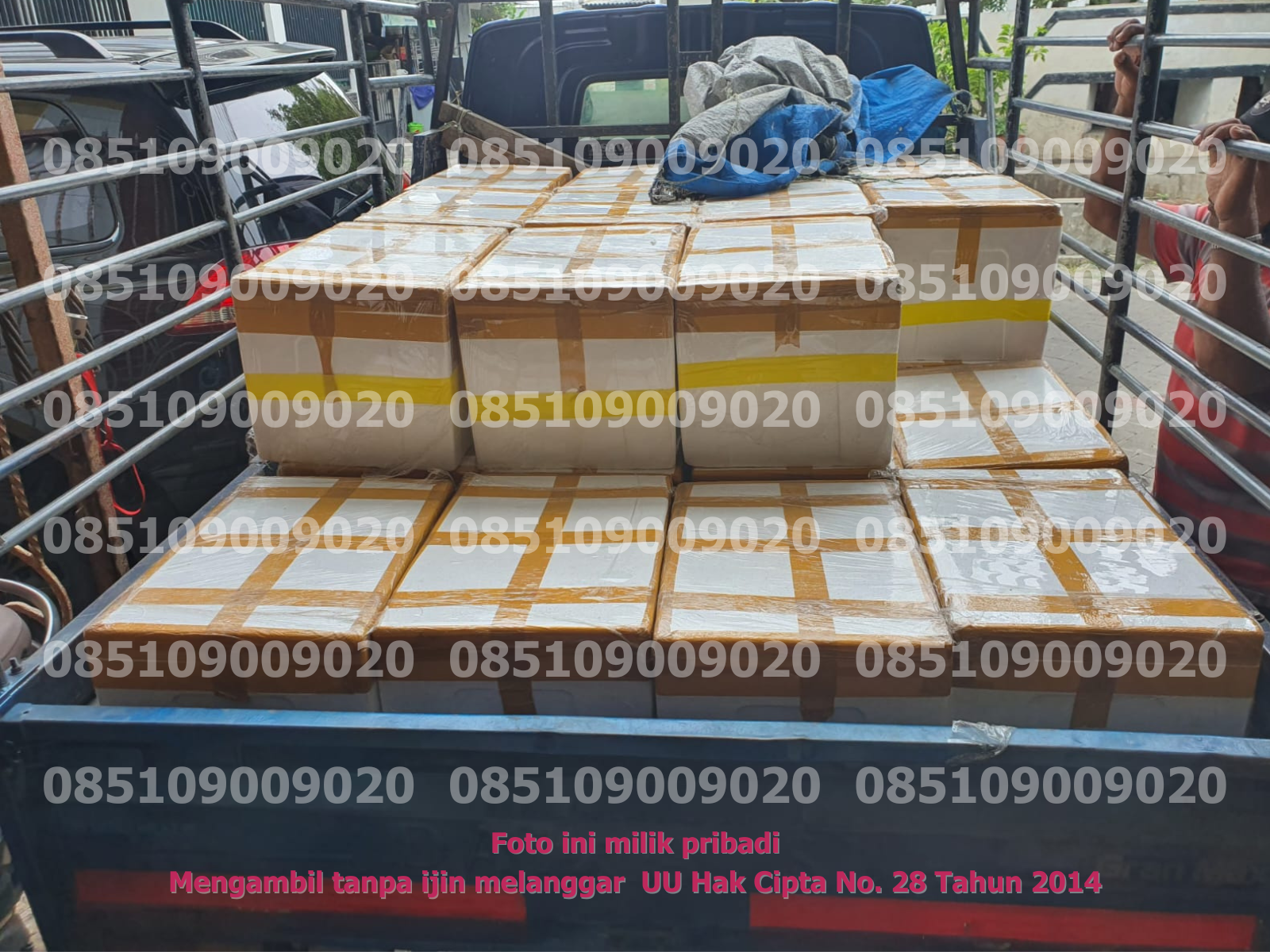 Pengangkutan Pickup