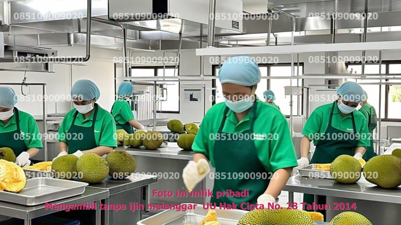 Produksi Kupas 1