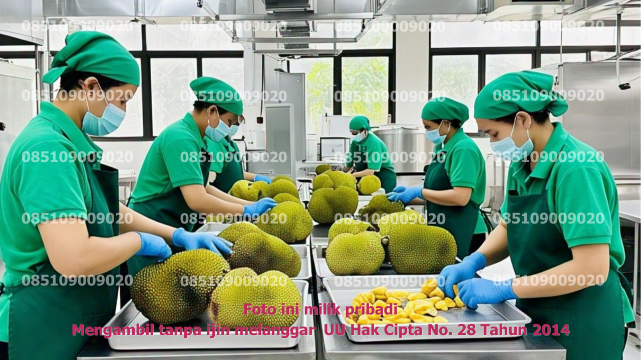 Produksi Kupas 2