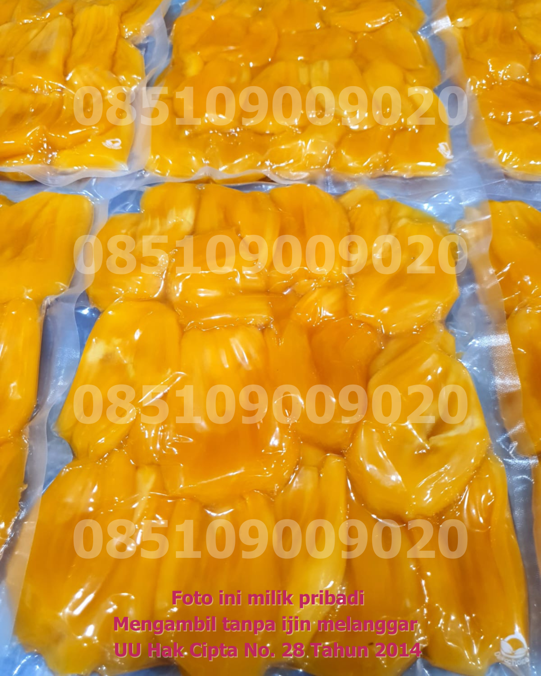 Nangka Vakum Banyak